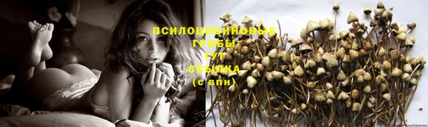 дживик Лихославль