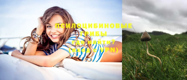 дживик Лихославль
