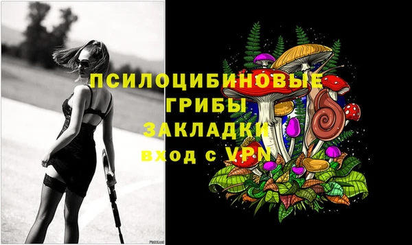 гашик Липки