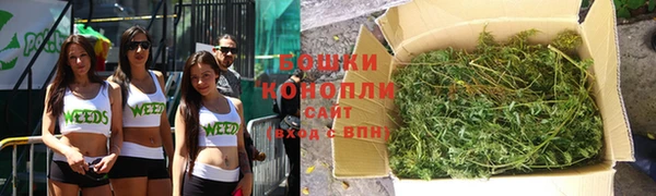 гашик Липки