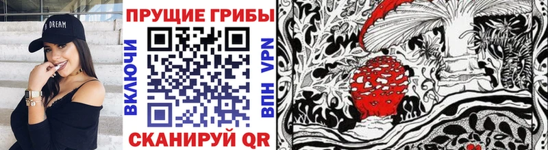 Галлюциногенные грибы Psilocybe  Сольвычегодск 